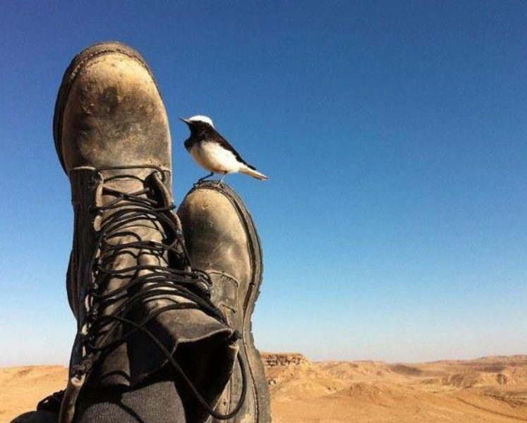 سهمیه امریه سربازی فعالان دانش بنیان